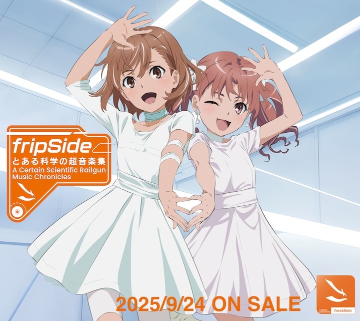 レールガンベスト